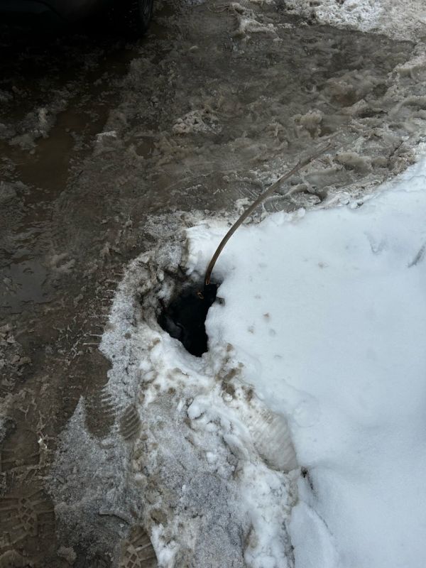 ������ ���� �361 �� ����� ����-������� �������� �������� �� ���� ����� ���������������� ����