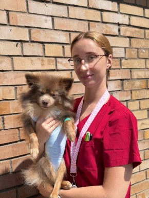 Поможем Лизе!. Судьба молодой тольяттинки Лизы Якунинских, которая минувшим летом подавилась кусочком яблока, пережила клиническую смерть и долгую кому, волнует всё больше неравнодушных людей