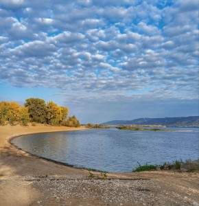 � �������� ��������� ���������� ������ ���������� ��������������������