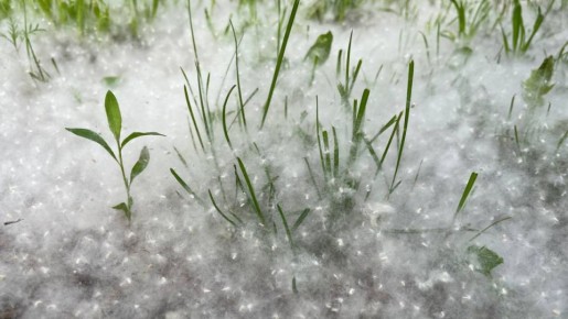 �������� ����������, ��� �������� ������ �������������� ������