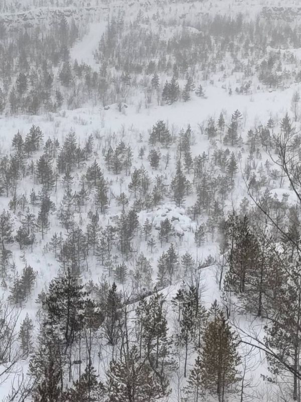 ������ ����, ������!. �������� ��� � ��������� ���������� : �������� ����� ������ � �������