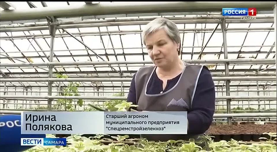 В Самаре на 36 тысячах квадратных метров высадят почти полтора миллиона цветов