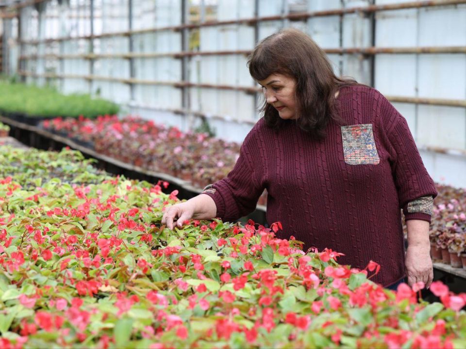 ����� ����� ������ �������� �� ��������� ������� ������ ������ 2026 ����