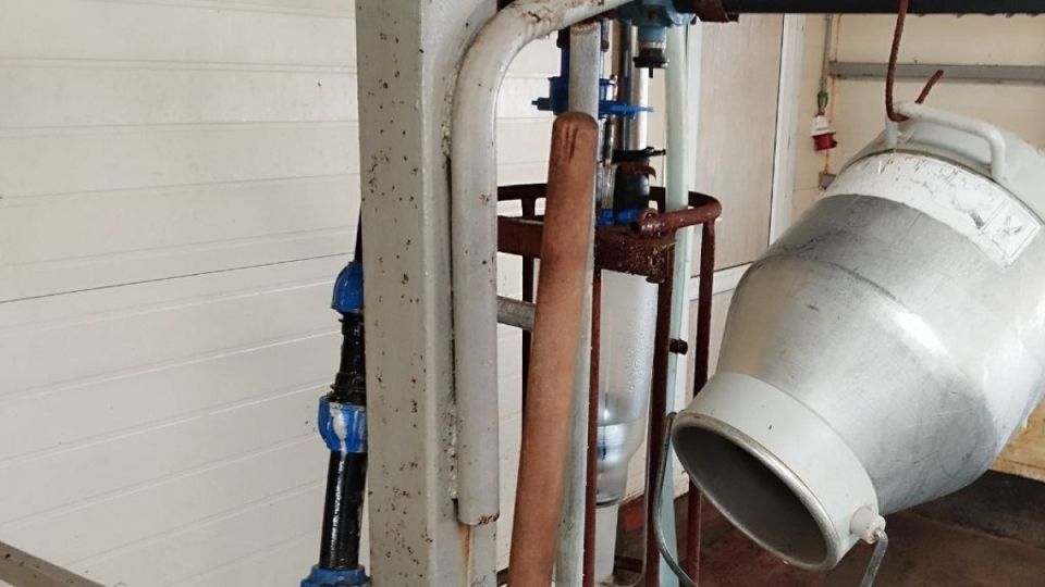 Самарские производители будут изготавливать творог по новому ГОСТу