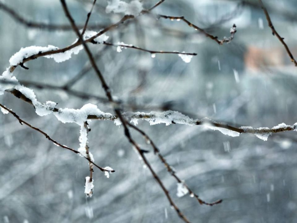 ���� ������� �� ����!. �������, 5 ����� � �������� ����� �������, ������� ��������� ��������