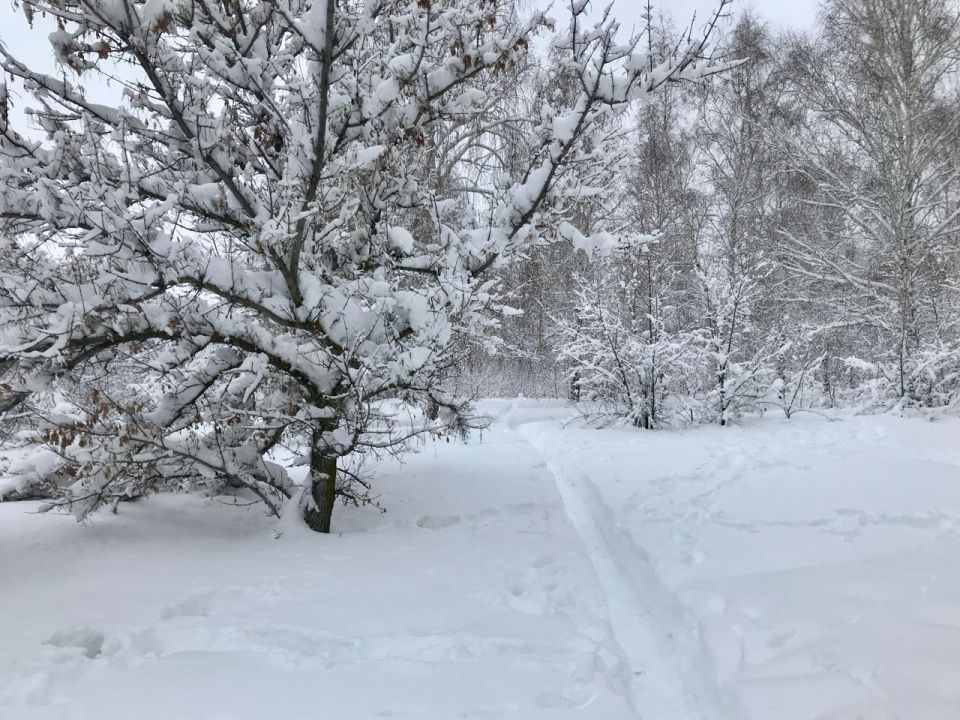 Снег и метель ждет жителей Самарской области 8 марта
