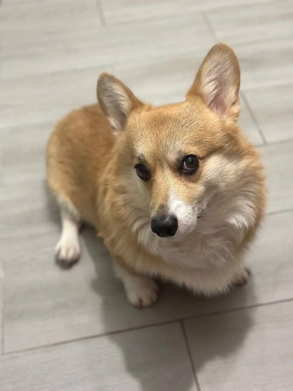 Даже «чуть-чуть» – запрещено!