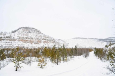 �����, ������� �������� ������ ����������, ����������� �������� � ��� ���� ������������