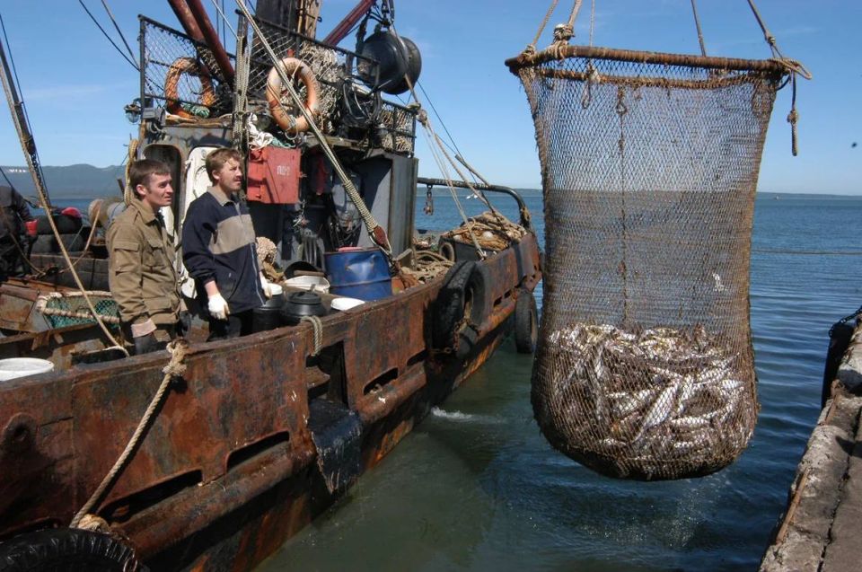 Умер экс-глава транспортной полиции Тольятти, обвиняемый в покровительстве браконьерам