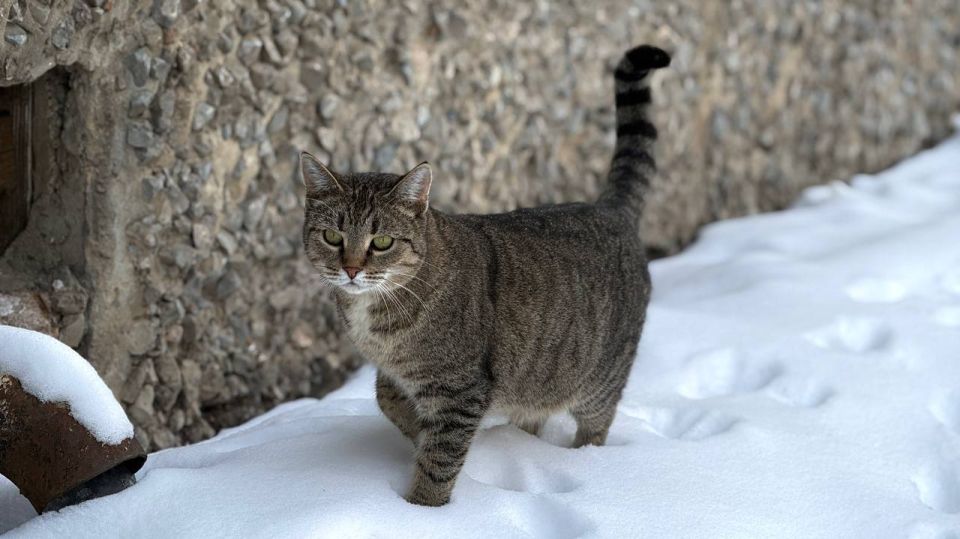 ������ ����!. 5 ����� �������� ����������� ������� 0...-5�C ��������� ������������ �������� ������ � ������������, ����, ������ ������ ����� ���-���������, 7...12 �/� ���� ������ MAX l�� l�� l����