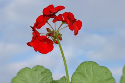 ��� ��������� ���������� � ���������� �� ���� � ���: ������� � ������