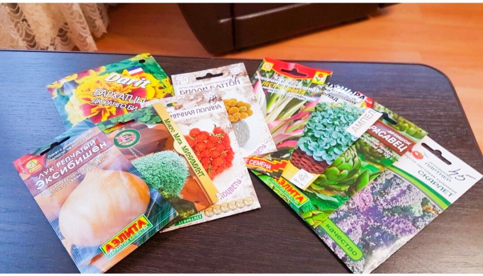 Необычные растения для вашего сада: семена, которые стоит попробовать в этом сезоне