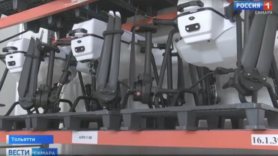 ��������� ������� ������� � ���������: ���� ������� ���������� � ��������, ������������ ������������������ ����