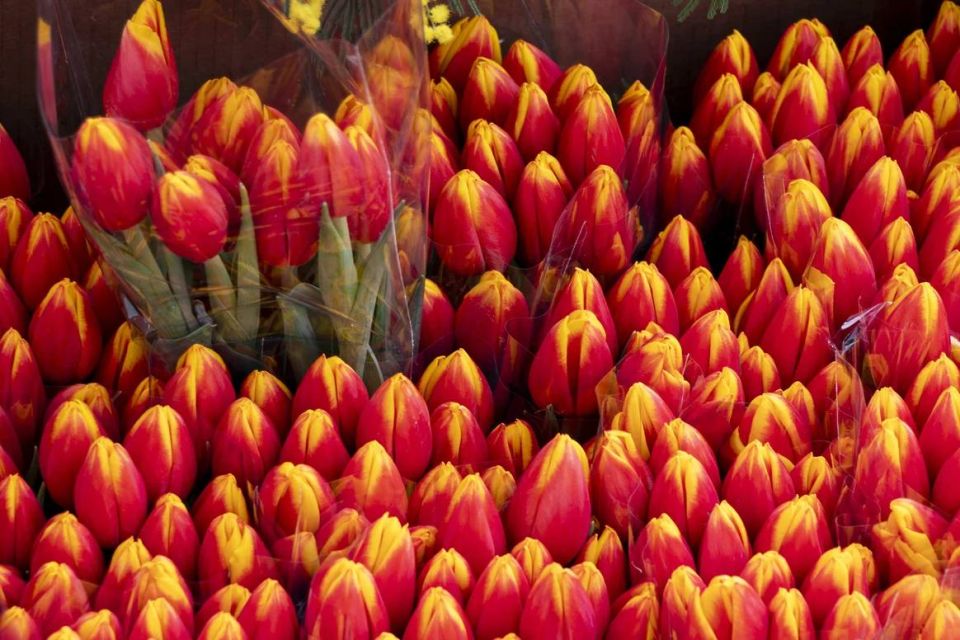 � ��������� ������� �������� �������� 250 ����� ��������� � 8 �����