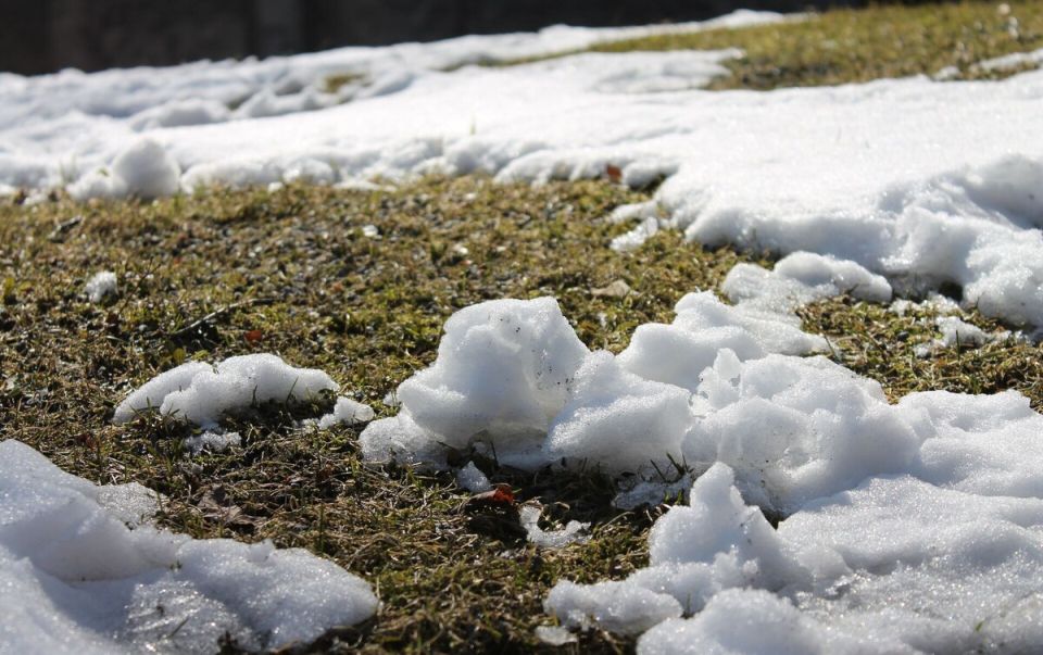 Мартовские заблуждения дачников: как не испортить начало садового сезона