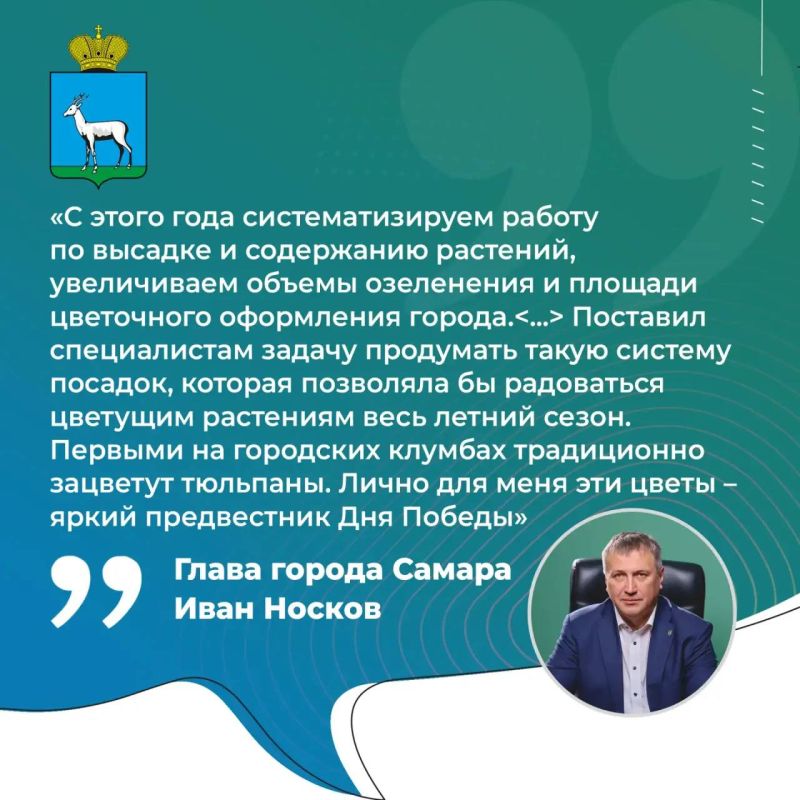 Иван Носков: «С этого года систематизируем работу по высадке и содержанию растений»