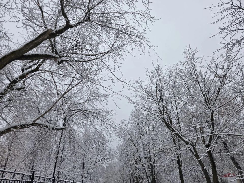 Погода на праздник не балует