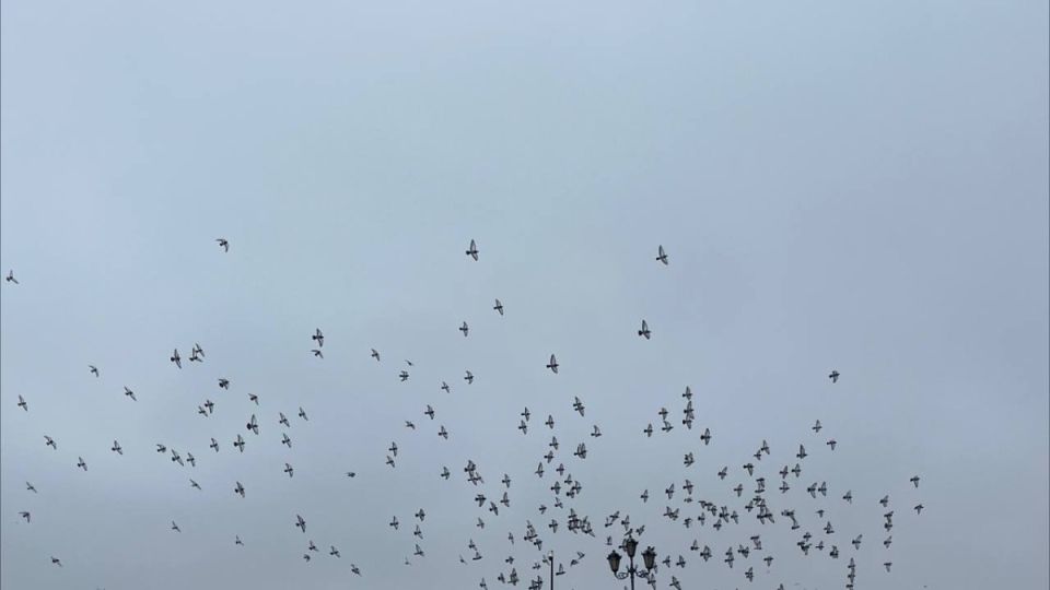 Внимание, желтый уровень опасности