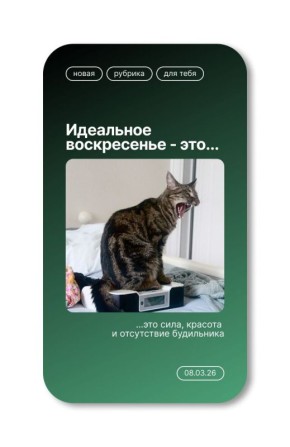 ����������� � ������������� ������� ����!