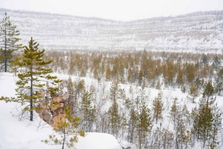 ������ ����, ������. �������������� ����������! ���� �� �����