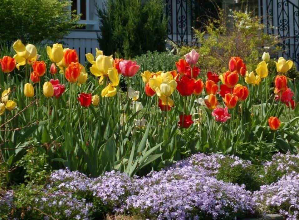 ����� ��� ���������� ����: ����� ���� � ������ �� �������