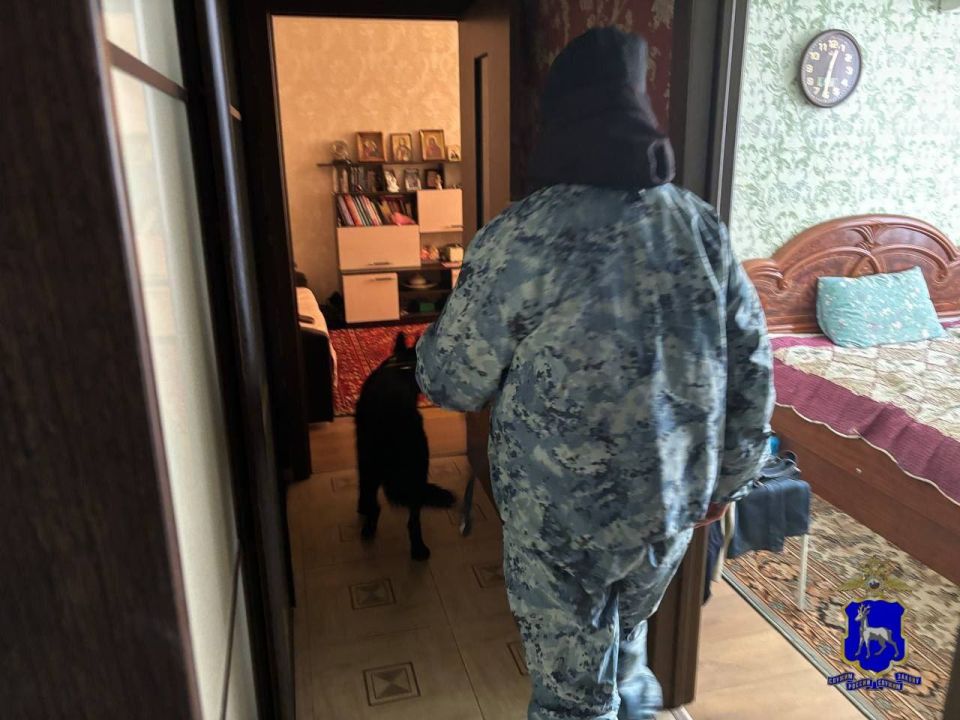 ����������� ��������: ������ ������� �������� �����������