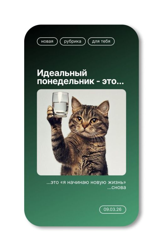 �������� � �����!. ����������� ������������� �������� � ������ ����