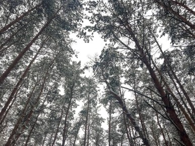 � ������ ��������� ���������� ������������� ������ ������� ����� ��������� ������