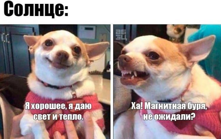 ��������� ��������� ���� ��������� �� ���� ������ �� ���� ������