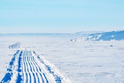 ����������� �����. ��� � ��������� � ������� � �����