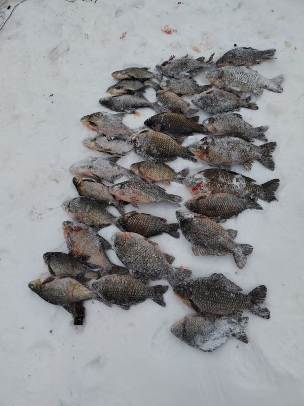 ������, ���� � ����: � ��������� ������� ������� ����������