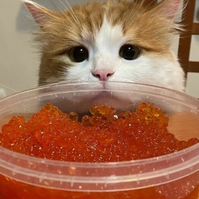 ������� ���� ������� � ��������� ��������� �������