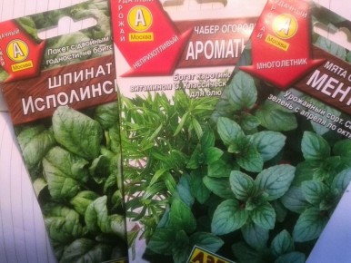 Как получить максимальный урожай клубники с помощью совместимости культур