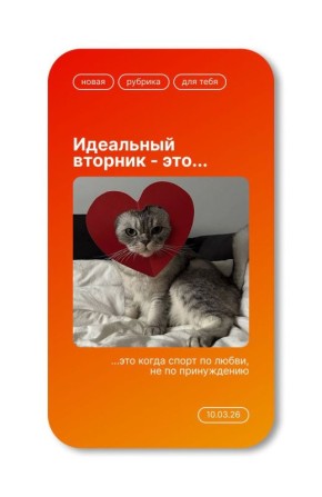 �������� ��� �� �����!. �������� ���� ����� ����� �������� ������������ ���� �� �����