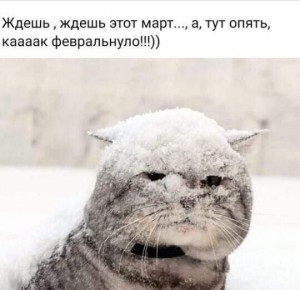 ������ ����, ������!. �� � ��������� �������� ���������� ��������� � ���� ����