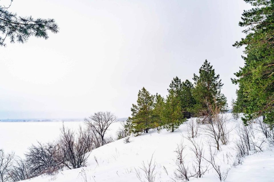 ������ ����, ������!. ��������� � ������������� ��� ���� �� �����