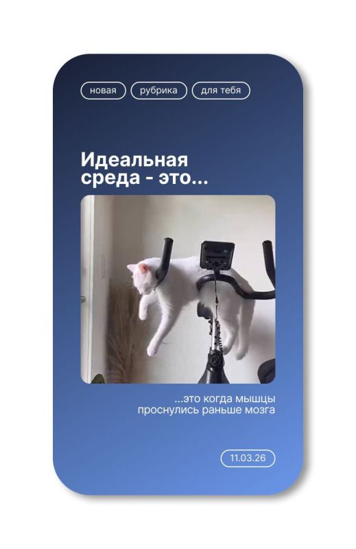 ���������� ��� ����!. ������� ������������ �������� ������� ������ ����