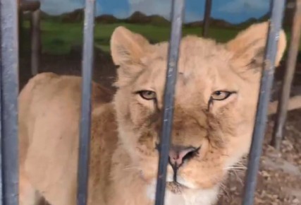 ������� ���������� � ��������� ��������