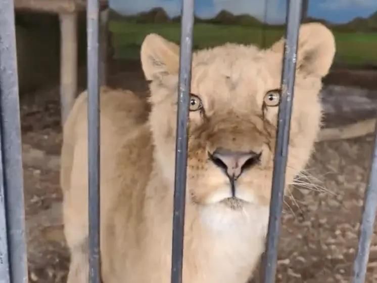 ��������� ������ ����� ��������� �� ��������� � ��������� �������