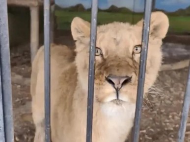 ��������� ������ ����� ��������� �� ��������� � ��������� �������