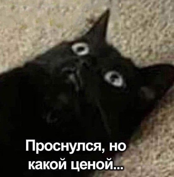 ������ �������� ����!. ������� � ��� ���������� ����������, ������� ��������� ��������� ������ � ���� ������� �����, ������, �����, ������ �������