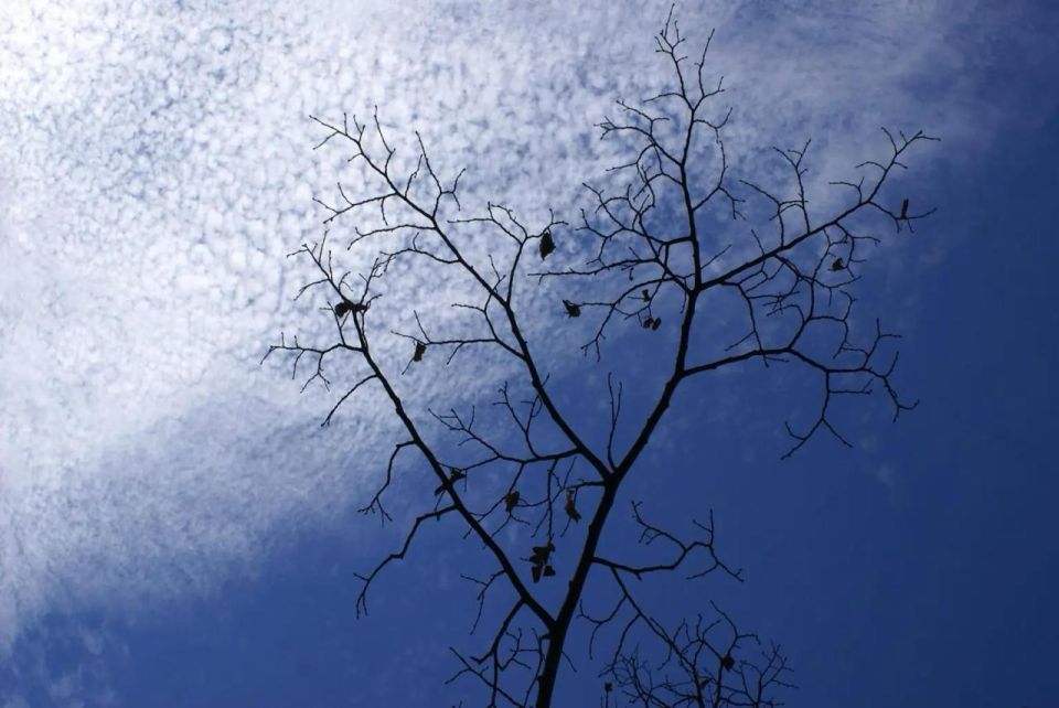 ��������� ������� ����������� ������������� ����� ������ 11 �����