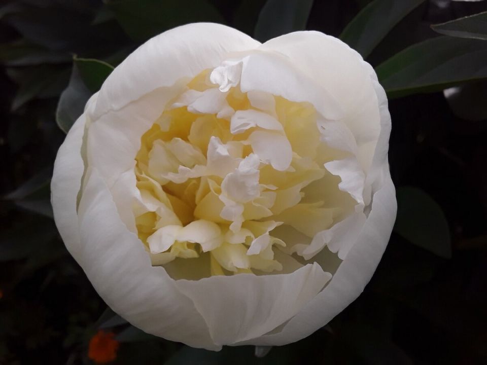 ��������� ������: ����� �������� �������� ������� ����� ��������� � �������?