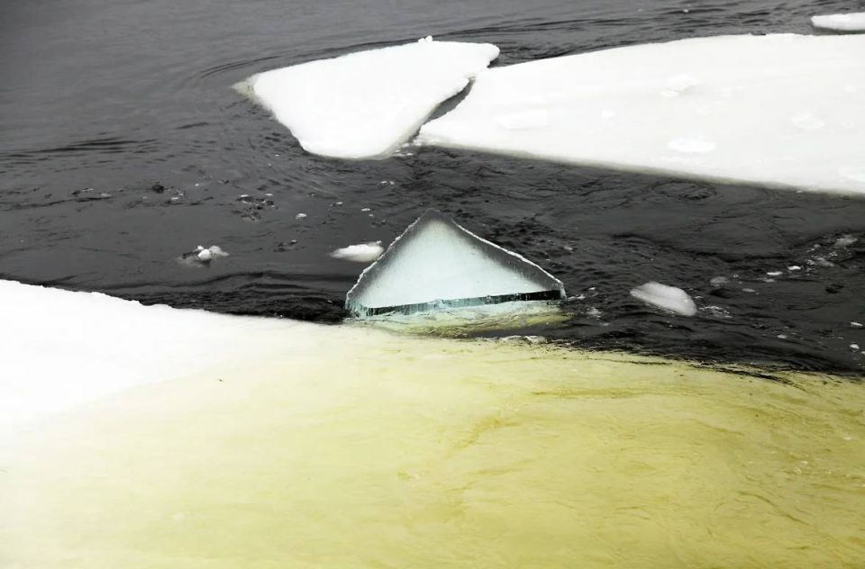 �� ������ ��������� ������� �� ����� ��������� ����� ��� �� 20 �C