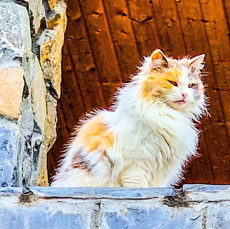 ������� ���� ����� � ���, ������!