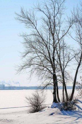 ������ ����, ������. ����������� ����������! ���� �� �����