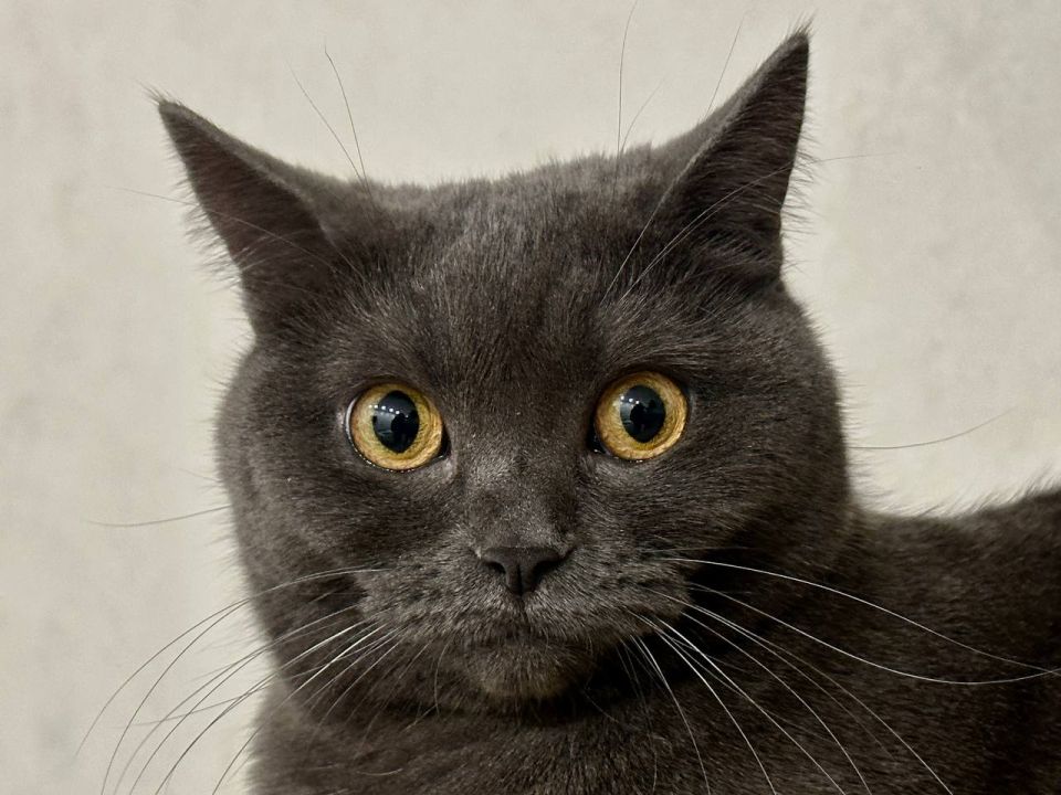 ������ ����!. 12 ����� ��������� ������������ ����������� ������� 0�+5 �C ��������� ���������� ����������, ��� ������� ����� ���-��������, 6...11 �/� ���� ������ MAX l�� l�� l����