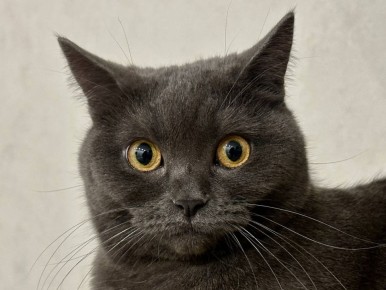 ������ ����!. 12 ����� ��������� ������������ ����������� ������� 0�+5 �C ��������� ���������� ����������, ��� ������� ����� ���-��������, 6...11 �/� ���� ������ MAX l�� l�� l����