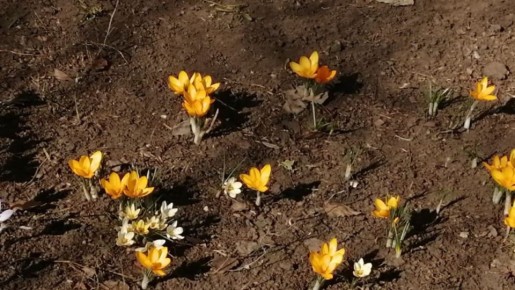 �������� ������������ � ��������� ��������� �� ��������� �����������