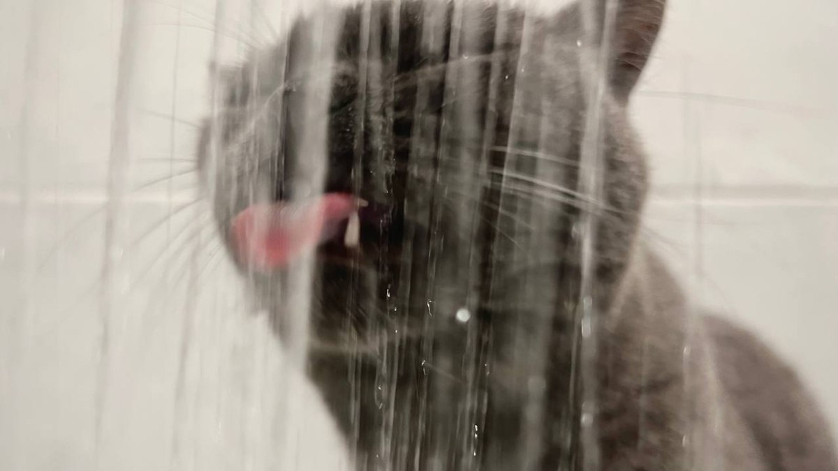 7 улиц в Самаре останутся временно без воды 14 марта